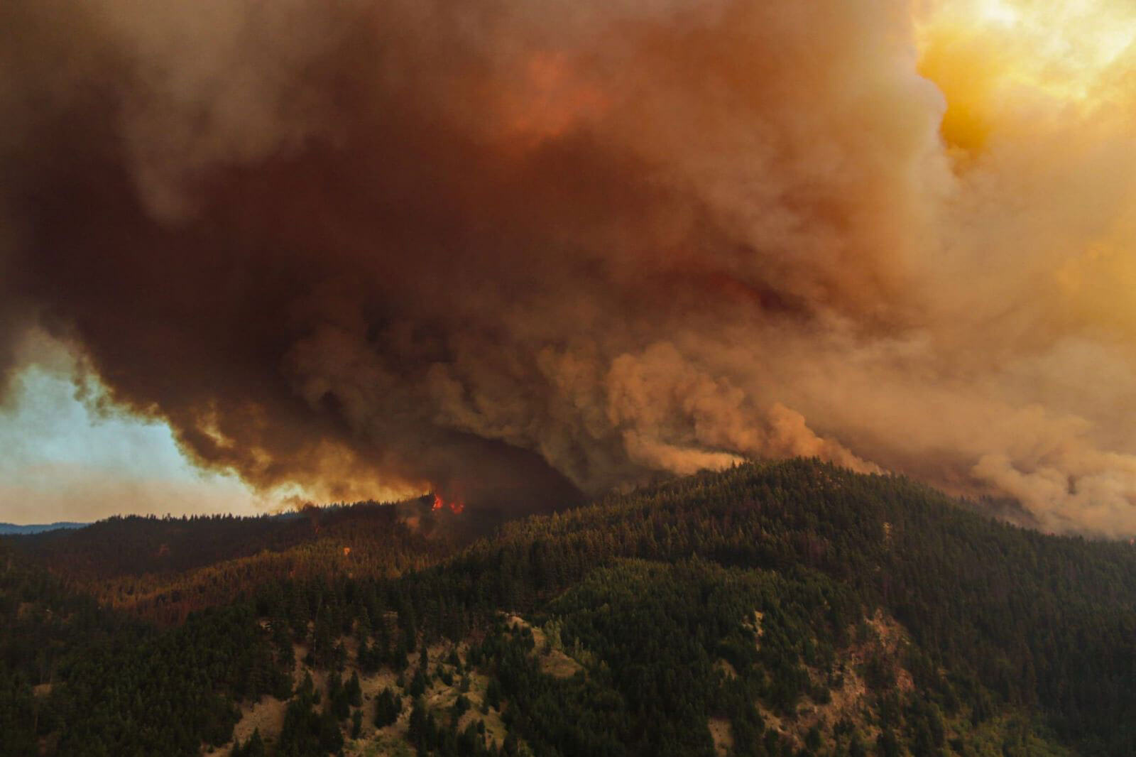 Aerial photo of a wildfire burning in Peacock Creek