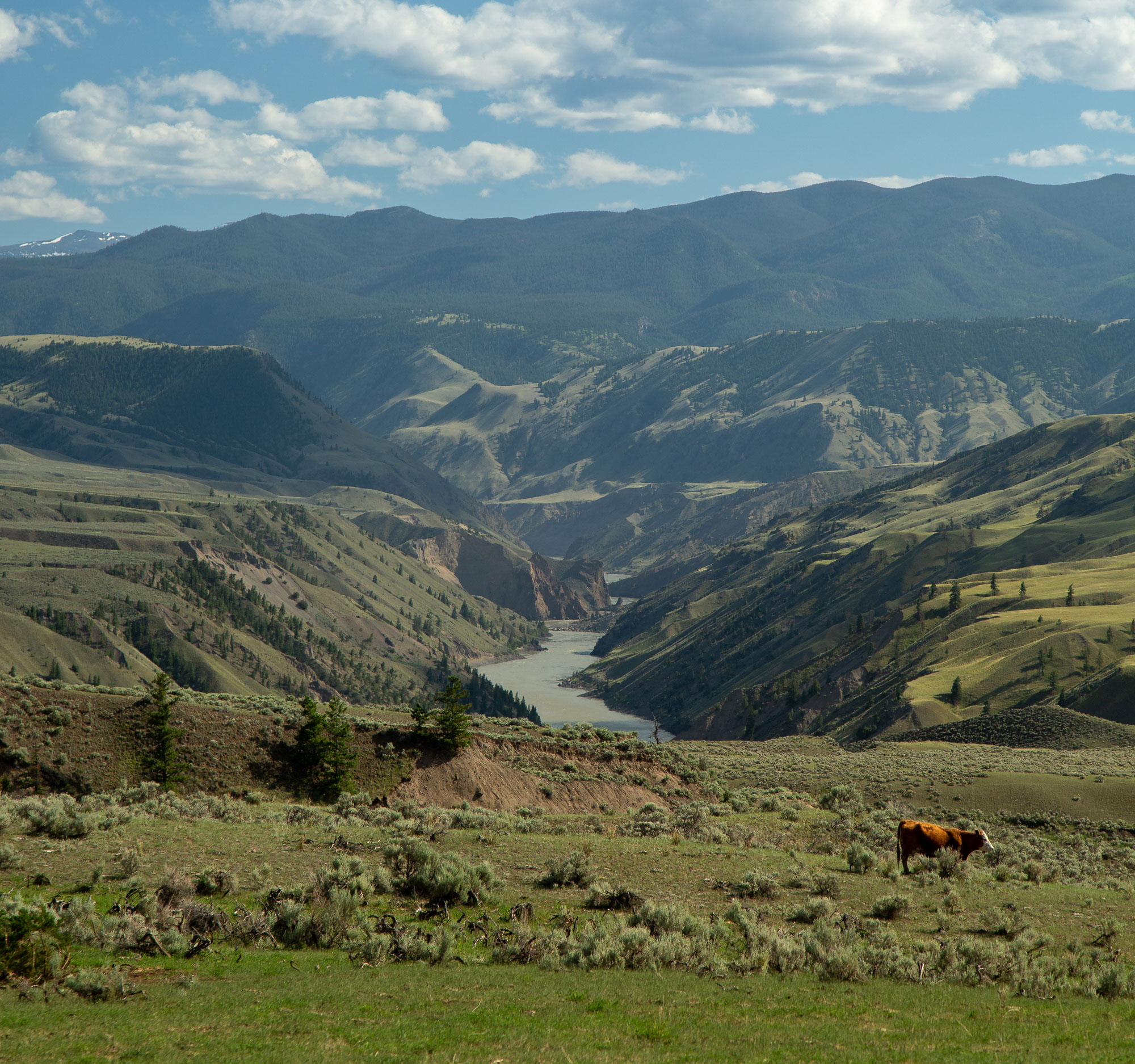 Scenic photo of Churn Creek